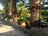 Villa il Giardino dell'Eden |  -  - 