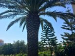 Villa il Giardino dell'Eden |  -  - 