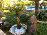Villa il Giardino dell'Eden |  -  - 