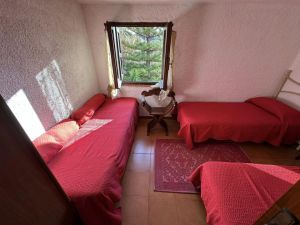 Villa il Giardino dell'Eden |  -  - 