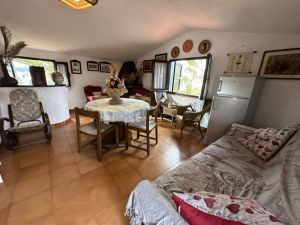 Villa il Giardino dell'Eden |  -  - 