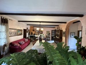 Villa il Giardino dell'Eden |  -  - 