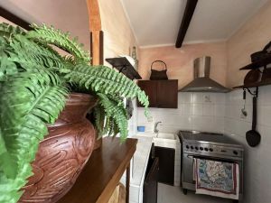 Villa il Giardino dell'Eden |  -  - 