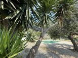 Villa Regina Levanto |  -  - 