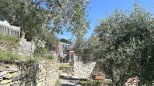 Un Posto al Sole sul Golfo |  -  - 