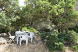 La Fattoria di Gallura |  -  - 