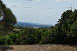 La Fattoria di Gallura |  -  - 