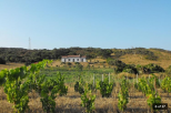 La Fattoria di Gallura |  -  - 