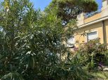 Villa Brezza di Mare |  -  - 