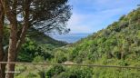 Tenuta Campo di Vernazza |  -  - 