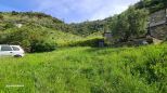 Tenuta Campo di Vernazza |  -  - 