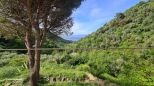 Tenuta Campo di Vernazza |  -  - 