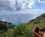 Antico Rustico del Vignaiolo |  -  - 
