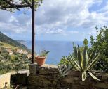 Antico Rustico del Vignaiolo |  -  - 