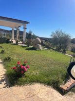 Villa Torpe'  |  -  - 