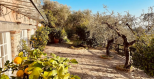 Villa Tiziana |  -  - 