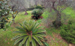 Villa Tiziana |  -  - 