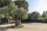 Le Grand Jas Saint Tropez |  -  - 