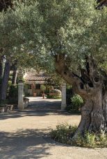 Le Grand Jas Saint Tropez |  -  - 
