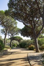 Le Grand Jas Saint Tropez |  -  - 