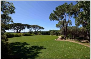 Le Grand Jas Saint Tropez |  -  - 