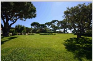 Le Grand Jas Saint Tropez |  -  - 