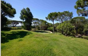 Le Grand Jas Saint Tropez |  -  - 