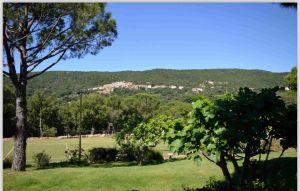 Le Grand Jas Saint Tropez |  -  - 