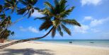 Villa Tropicana Beach |  -  - 