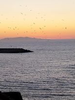 La Casa sulla Spiaggia di Castelsardo | Castelsardo/Lu Bagnu /La Ciaccia/ Badesi - Appartementen - Nord Sardegna