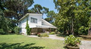 La Regina della Versilia  |  -  - 