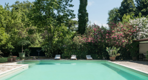 La Regina della Versilia  |  -  - 