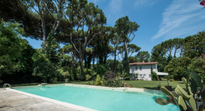 La Regina della Versilia  |  -  - 