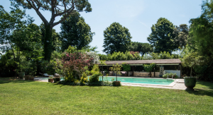La Regina della Versilia  |  -  - 
