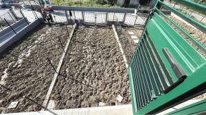 Appartamenti Mare Fiumaretta |  -  - 