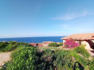 Villino Luna Crescente |  -  - 