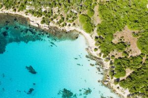 Appartamento Mimose |  -  - 