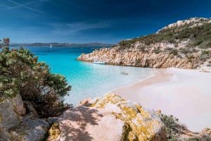 Appartamento Mimose |  -  - 