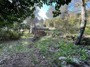 L' Antico Rustico del Parco |  -  - 