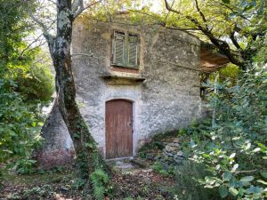 L' Antico Rustico del Parco |  -  - 