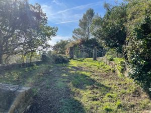 L' Antico Rustico del Parco |  -  - 