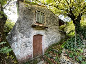 L' Antico Rustico del Parco |  -  - 