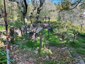 L' Antico Rustico del Parco |  -  - 