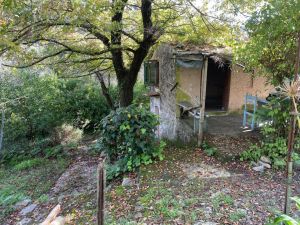 L' Antico Rustico del Parco |  -  - 
