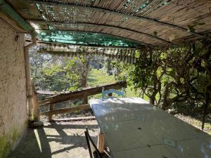 L' Antico Rustico del Parco |  -  - 