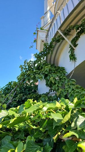 Villa la Perla di Porto Rotondo |  -  - 