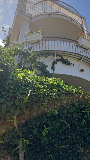 Villa la Perla di Porto Rotondo |  -  - 