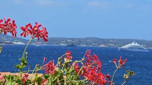 Villa la Perla di Porto Rotondo |  -  - 