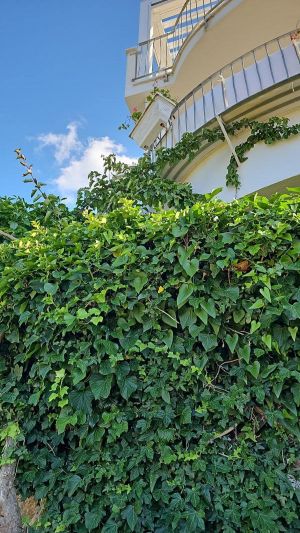 Villa la Perla di Porto Rotondo |  -  - 