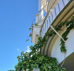 Villa la Perla di Porto Rotondo |  -  - 